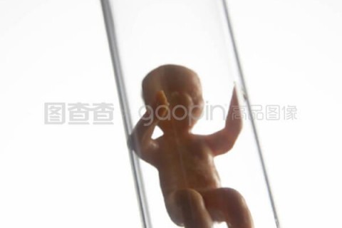 http://shanghai.vdtfzz.com/post/197.html|上海试管助孕