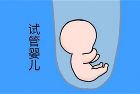 http://shanghai.vdtfzz.com/post/194.html|上海新闻中心
